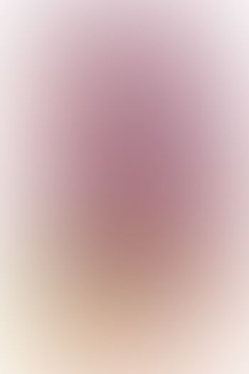 とらドラ! 〈4〉