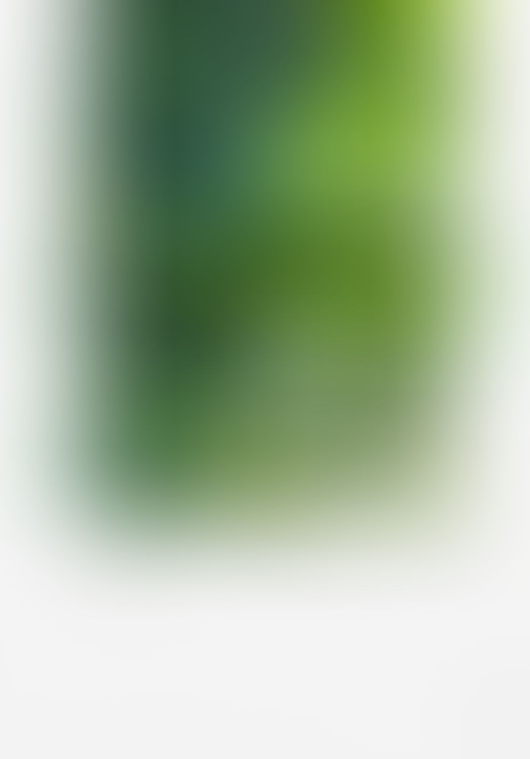 小説 言の葉の庭