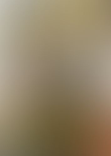 織田信奈の野望 全国版 (14)