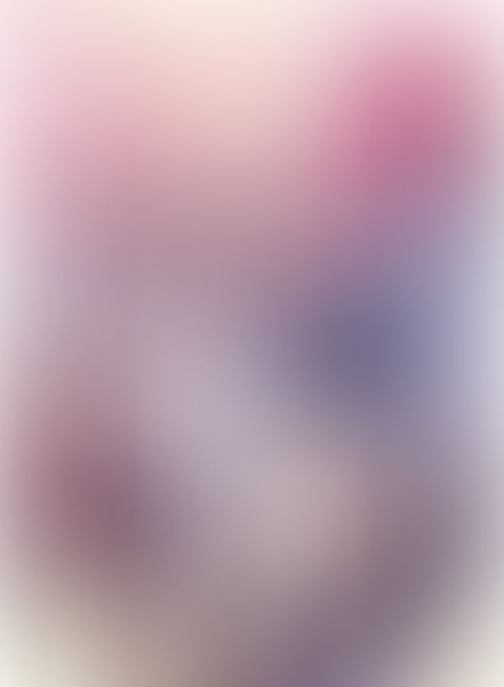 ゼロの使い魔 (21) 六千年の真実