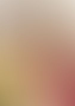 織田信奈の野望　全国版(22)