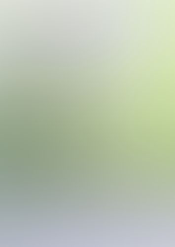 ムシウタ 12.夢醒める迷宮(上)