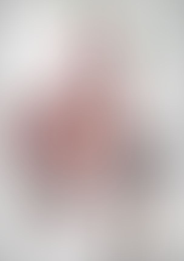 薔薇のマリア Ver5  つぼみのコロナ2