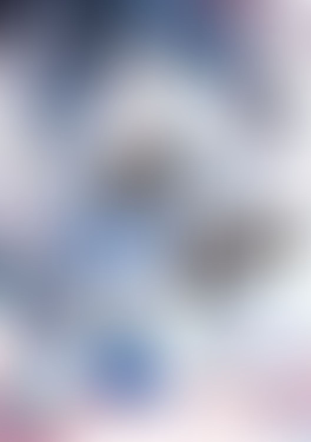 公女殿下の家庭教師 (19) 鍵護りし聖楯