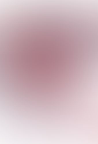 IS 〈インフィニット・ストラトス〉 (09)