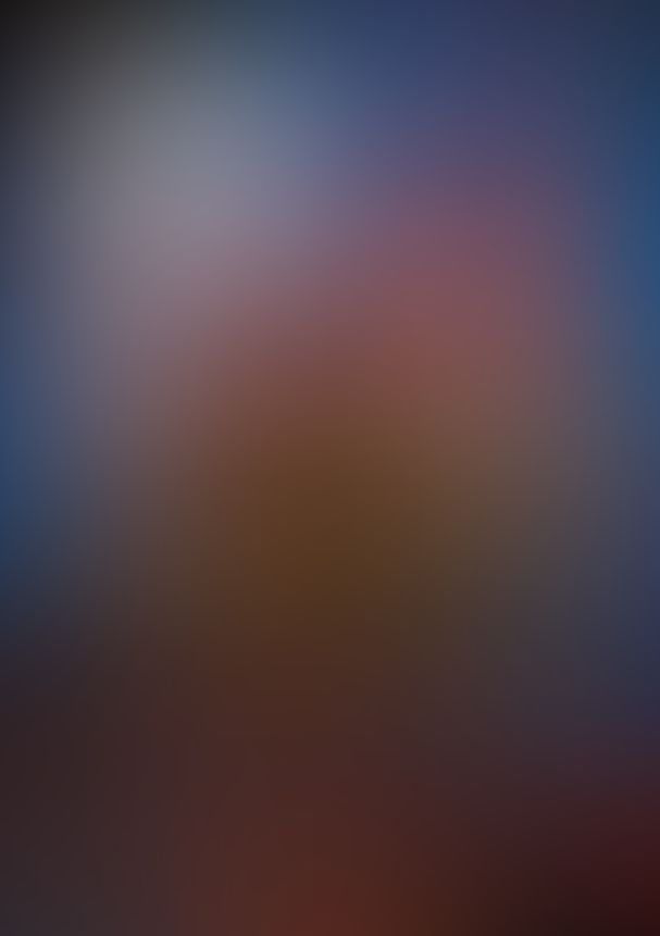 薔薇のマリア IX.さよならの行き着く場所