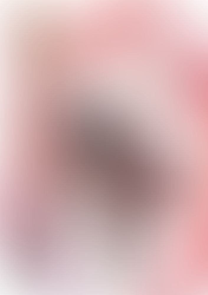 緋弾のアリア XXXVIII 愛を忘れはしない