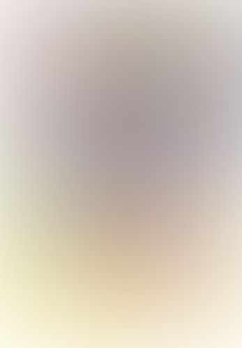 ネトゲの嫁は女の子じゃないと思った?