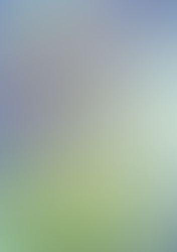 盾の勇者の成り上がり (16)