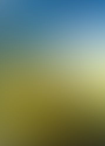 新世界より (中)