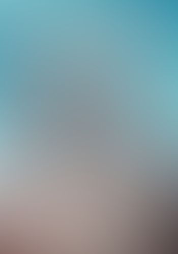 ゼロから始める魔法の書 (2) アクディオスの聖女 上