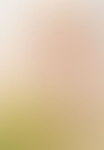 狼と香辛料 (17) Epilogue
