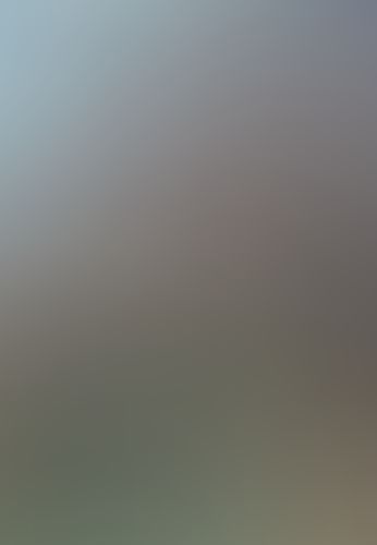 ブラック・ブレット