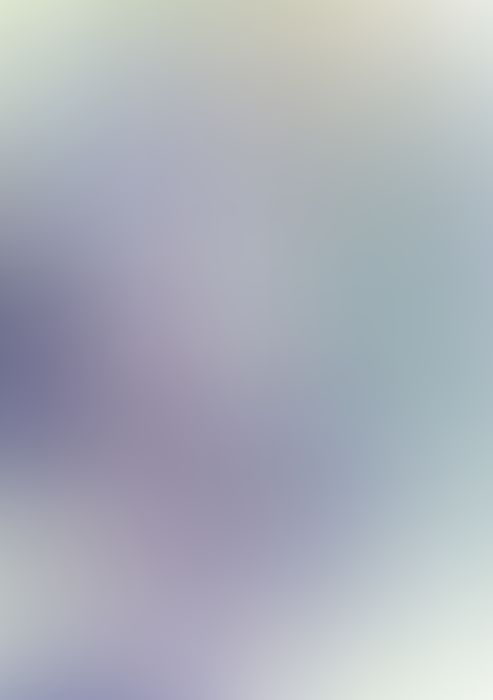 ロクでなし魔術講師と禁忌教典 (14)