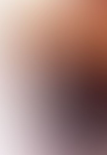 織田信奈の野望 (10)