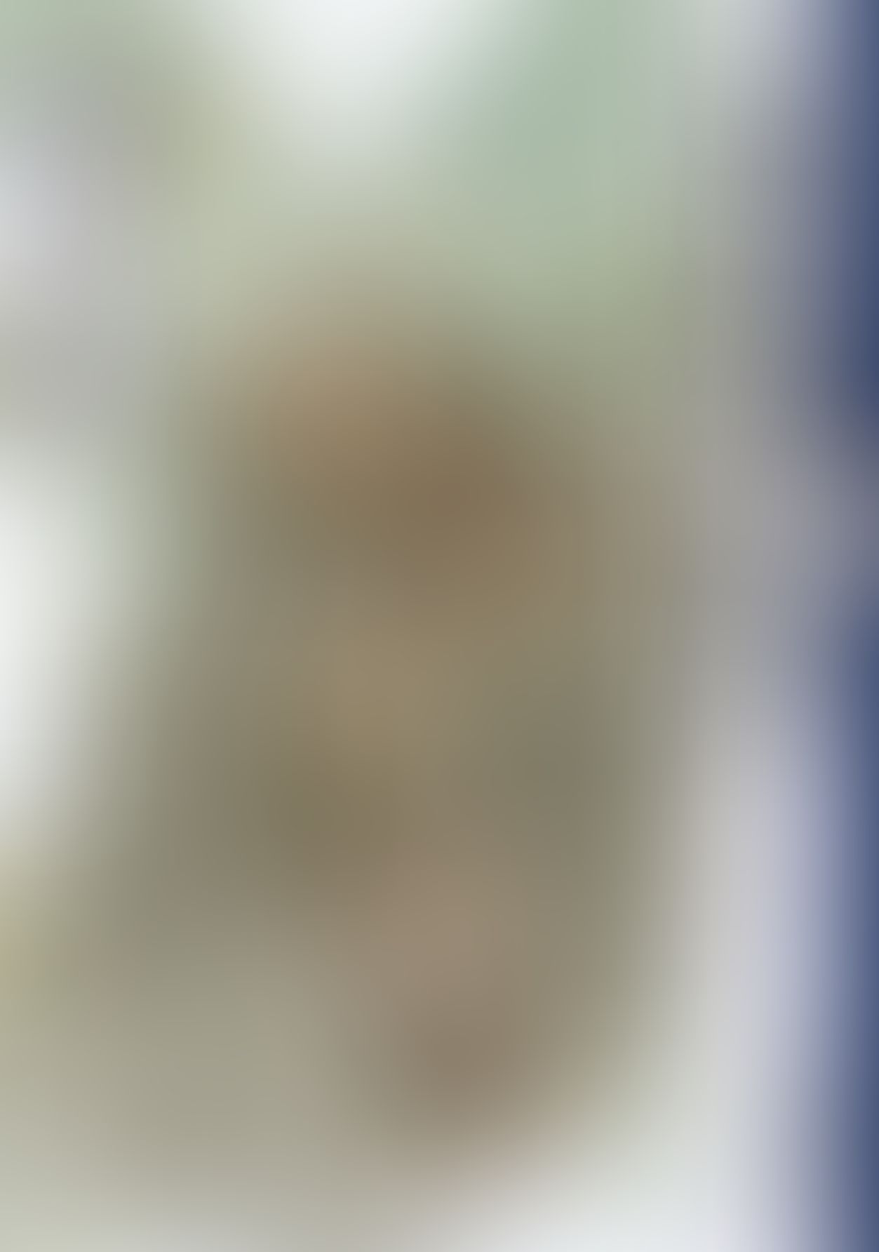 白銀の墟 玄の月 第三巻