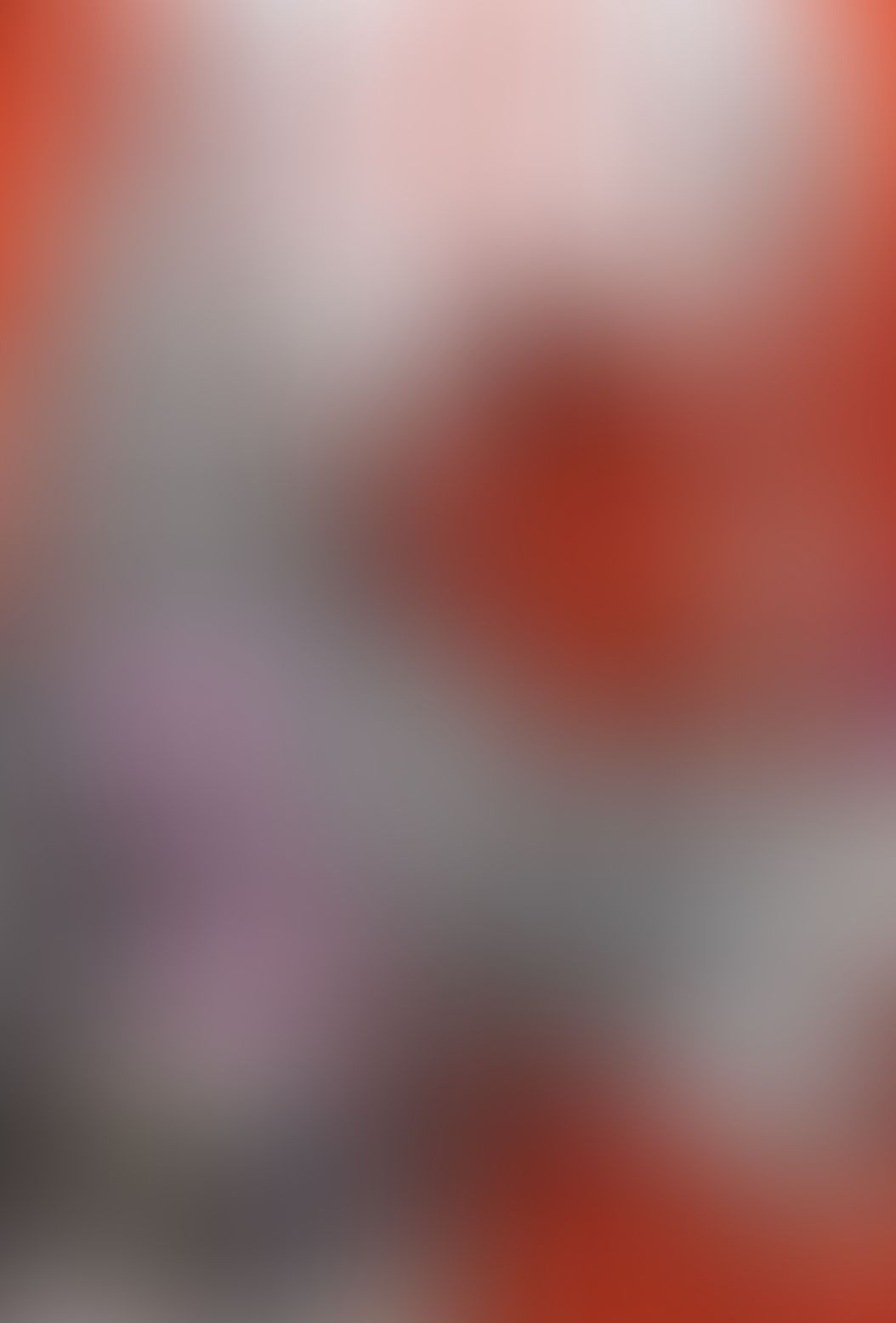 マルドゥック・アノニマス (05)