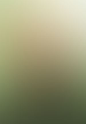 狼と香辛料 (12)