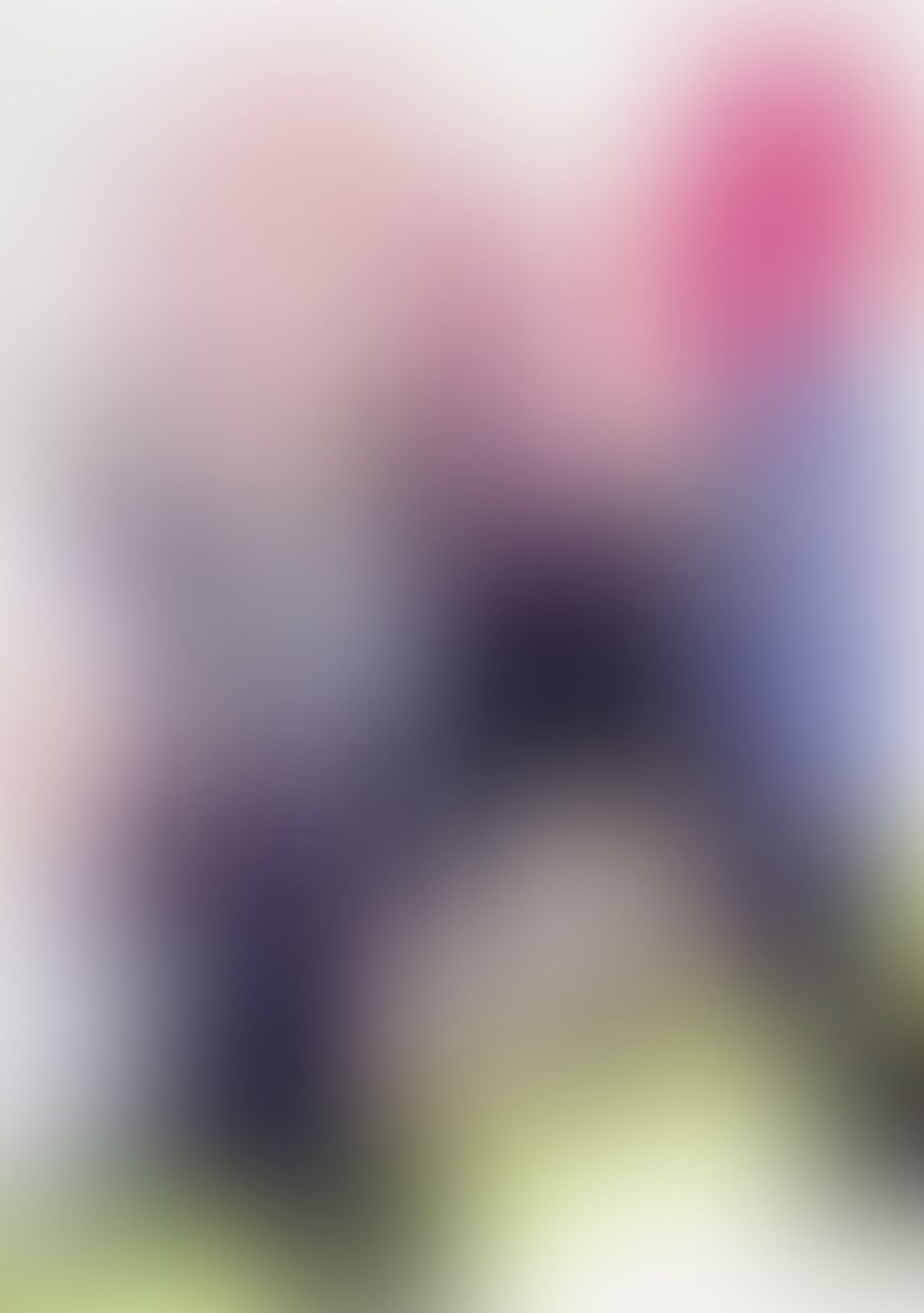 ゼロの使い魔 (06) 贖罪の炎赤石