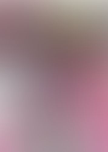 IS 〈インフィニット・ストラトス〉 (07)