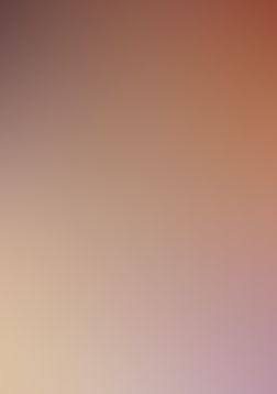 織田信奈の野望　全国版(21)