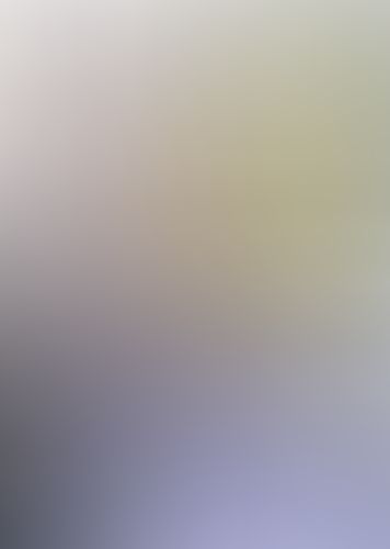 大伝説の勇者の伝説 (10) 英雄と悪魔