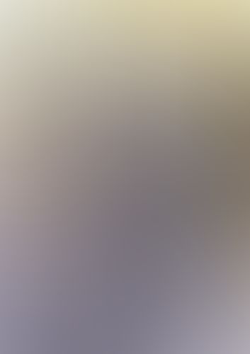 織田信奈の野望 全国版 (12)