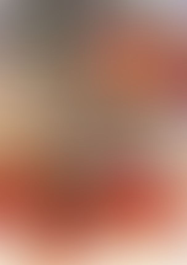 薔薇のマリア 15.愛も憎しみも絶望も