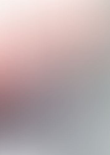 ゼロの使い魔 (18) 滅亡の精霊石