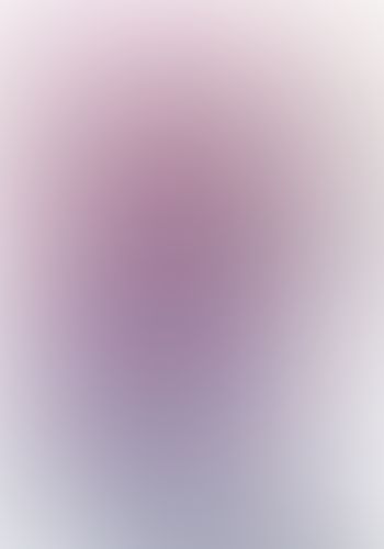 とらドラ・スピンオフ3!  俺の弁当を見てくれ