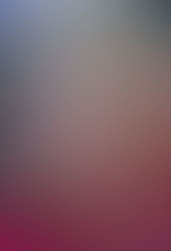 蜘蛛ですが、なにか? (6)