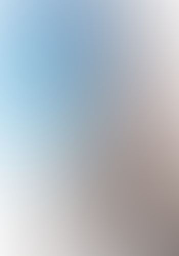 青春ブタ野郎はバニーガール先輩の夢を見ない