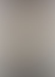 織田信奈の野望 (1)