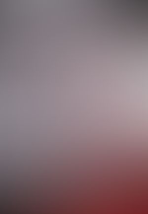 マルドゥック・ヴェロシティ 1