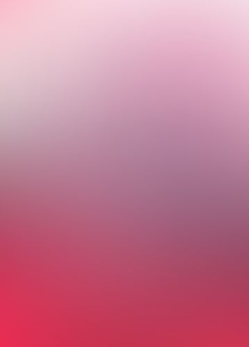 ゼロの使い魔 (13) 圣国の世界扉