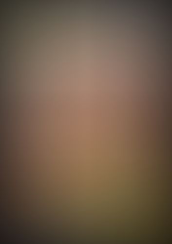 織田信奈の野望 (3)