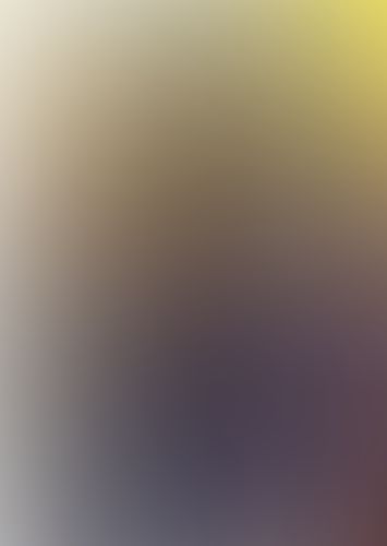 織田信奈の野望 全国版 (15)