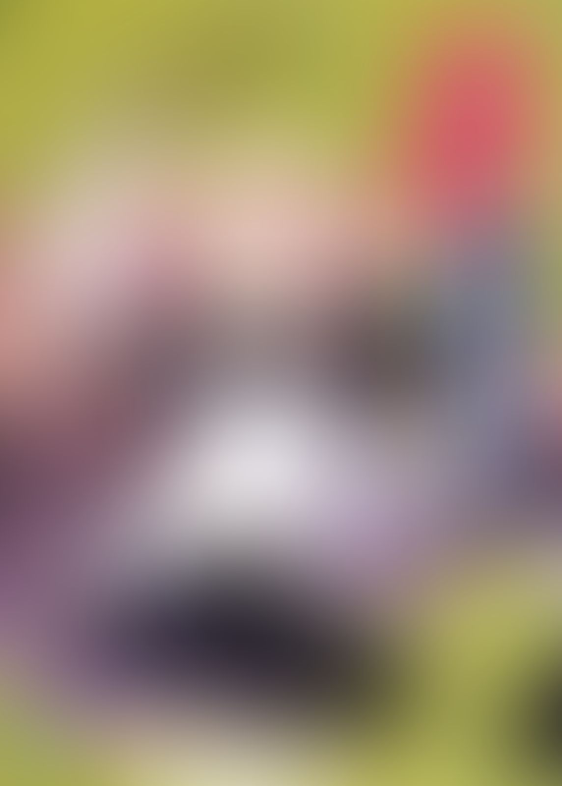 ゼロの使い魔 (03) 始祖の祈祷書