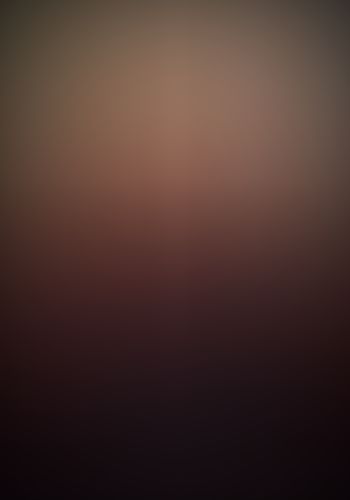 織田信奈の野望 (4)