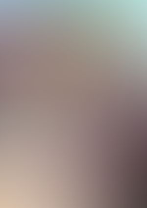 IS 〈インフィニット・ストラトス〉 (03)