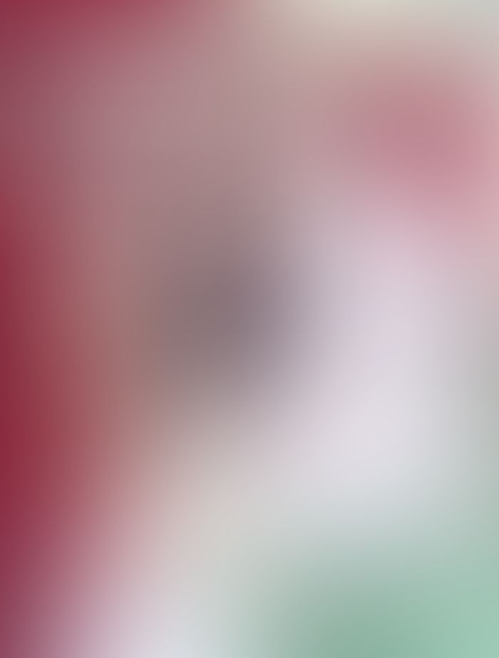 GOSICK Ⅲ -ゴシック・青い薔薇の下で-