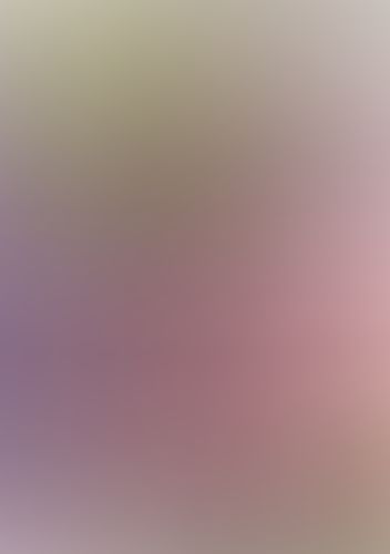 IS 〈インフィニット・ストラトス〉 (04)