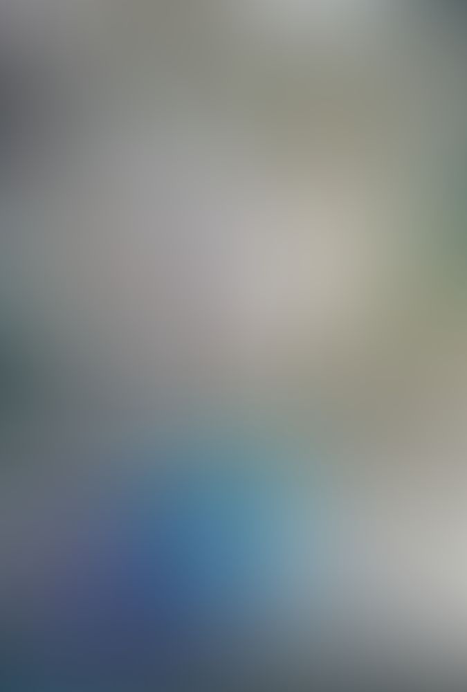 蜘蛛ですが、なにか? (11)