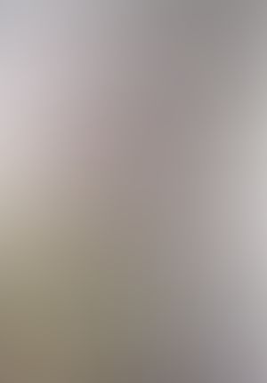 マルドゥック・ヴェロシティ 2