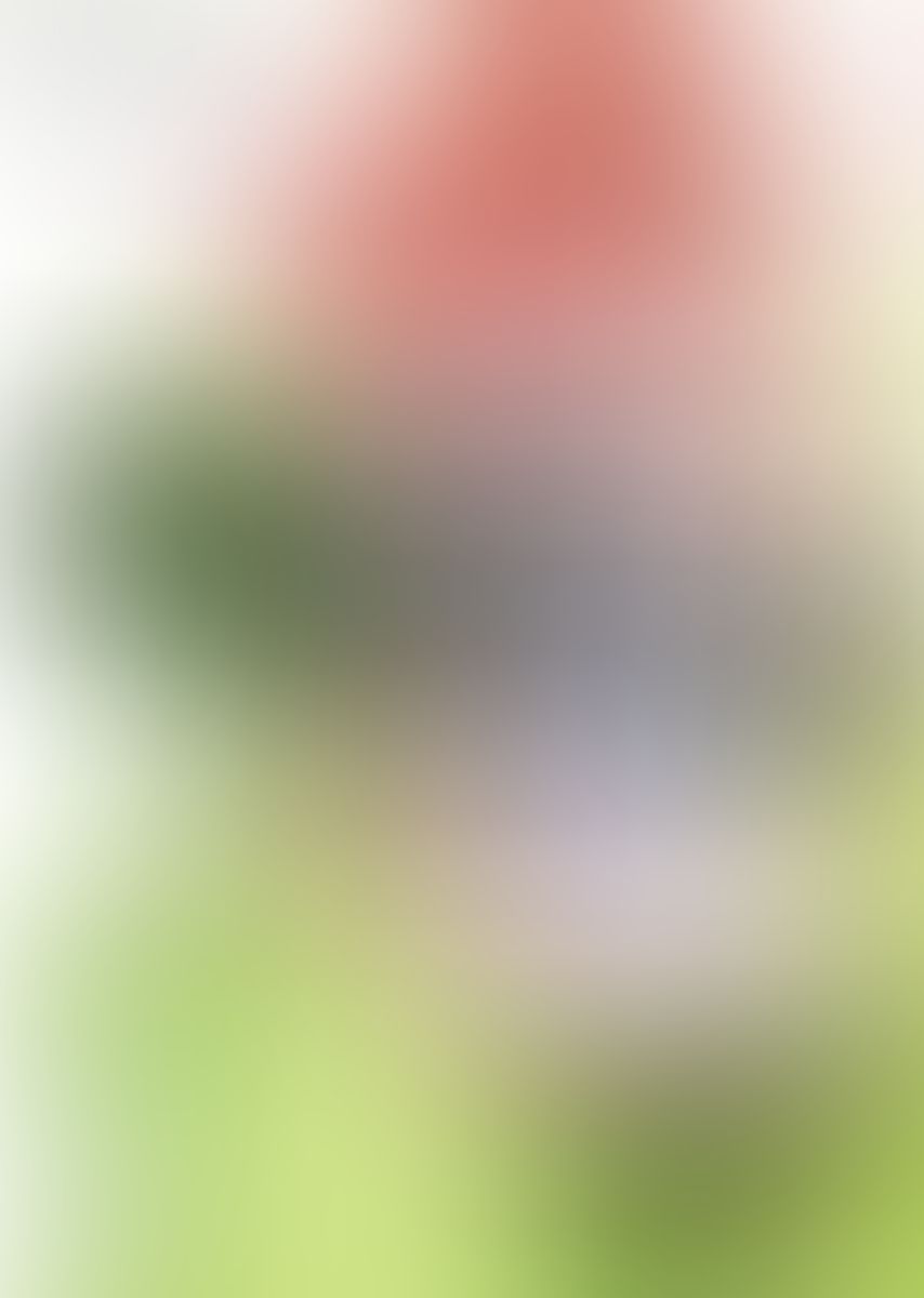 フルメタル・パニック! 長編08 燃えるワン・マン・フォース