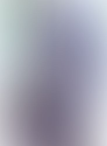精霊使いの剣舞 (12) 封剣解放