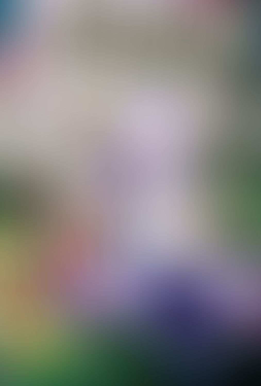 蜘蛛ですが、なにか? (16)