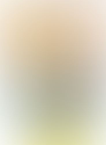 星刻の竜騎士 XIV