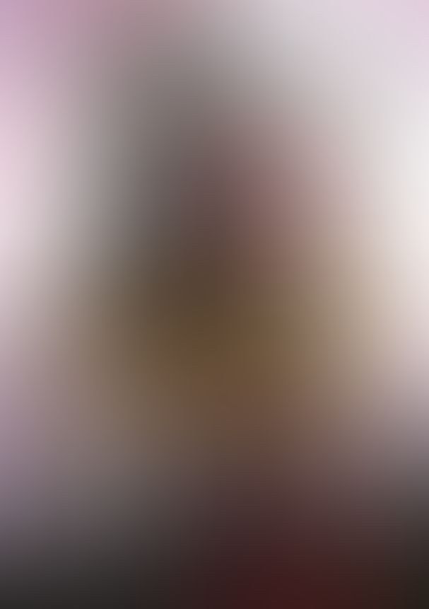 薔薇のマリア X.黒と白の果て