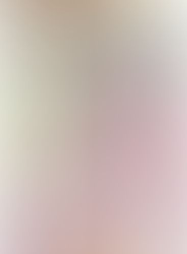 星刻の竜騎士 XIX